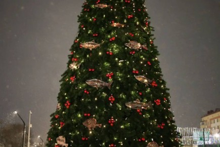 ���������� ���� � ������ ��������� �� ���������� � ���������