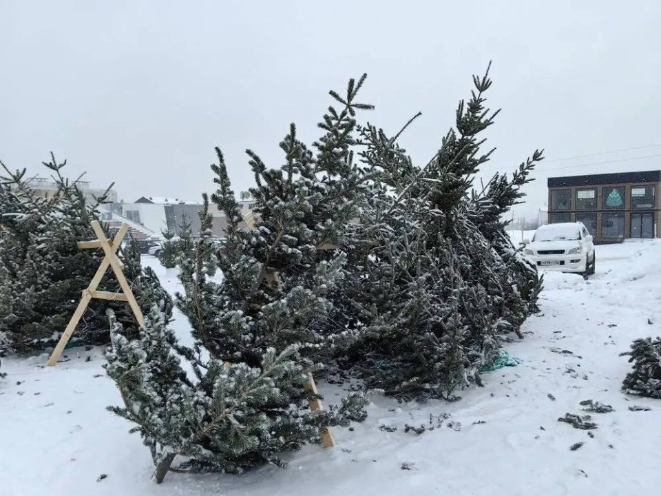 ���� ������� �������.. ��� ��������� �� ���� ������� �������. ����������� ������ ������� ����� �������� ��� ��� ����� � ���������. ���� ������ ��������� ����� - 3 500 ������. ���������� ����� � ������ ����� - �� ����...