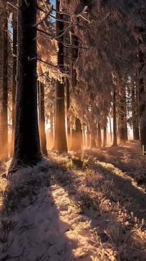 ������ ����!. ������� ������������� ���� ���������� � ���� ���� �������� ����������� ��������� �������� (1709 � 1761) � ���� ������ �������� (1952) �� ������ ���� �������� 2 ���