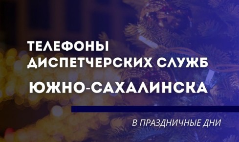 Сергей Надсадин: Напомню, что диспетчерские службы на новогодних каникулах будут работать в круглосуточном режиме