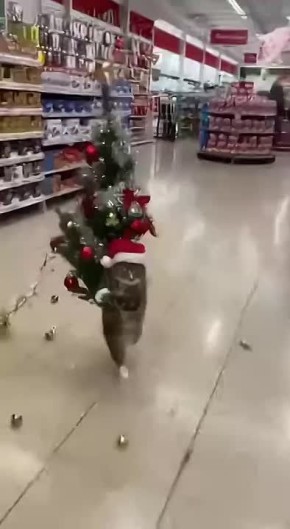 Доброе утро. Рождённых 30 декабря мальчиков можно назвать Александр, Даниил, Иван, Никита, Пётр или Ян. Сегодняшние именинники талантливые организаторы