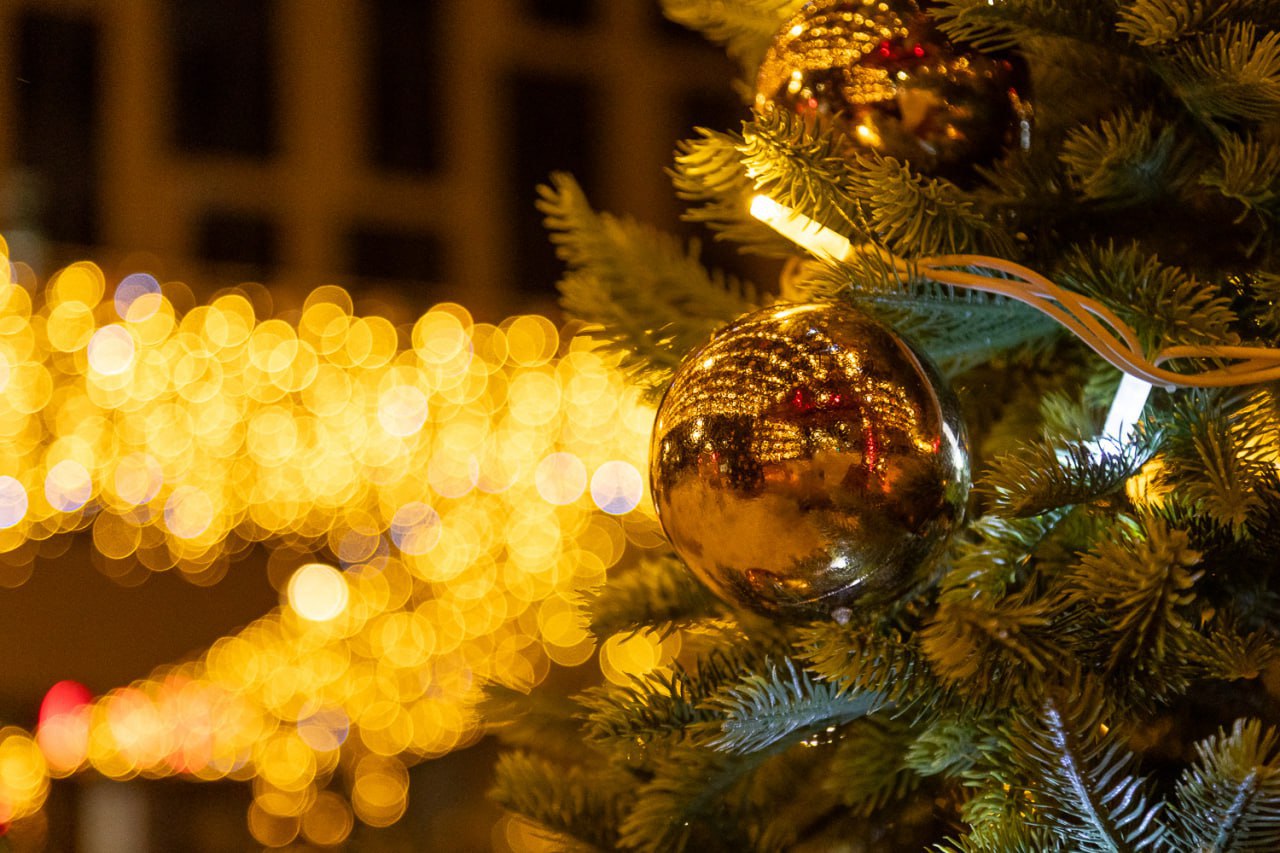 Новогодний Южный — фоторепортаж с улиц города Новогодний Южный — фоторепортаж с улиц города