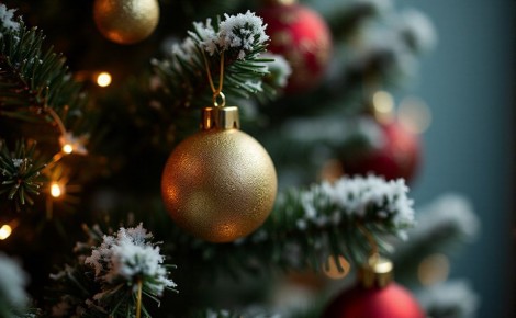 ���������� �������� ��� ���� ������ ������� �� 2026 ���