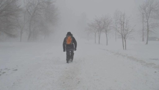 ������ �� �������� � ��������� ���� �� �������