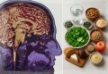 Литий: ключ к долголетию мозга