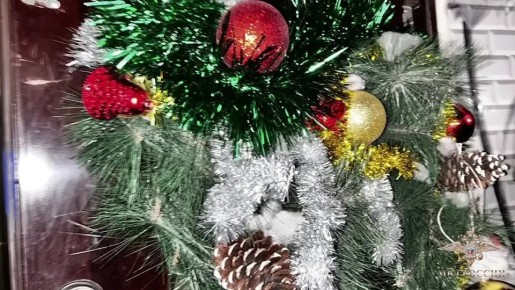 ������������ ����� ���� ���������� ���������� ��������� ���