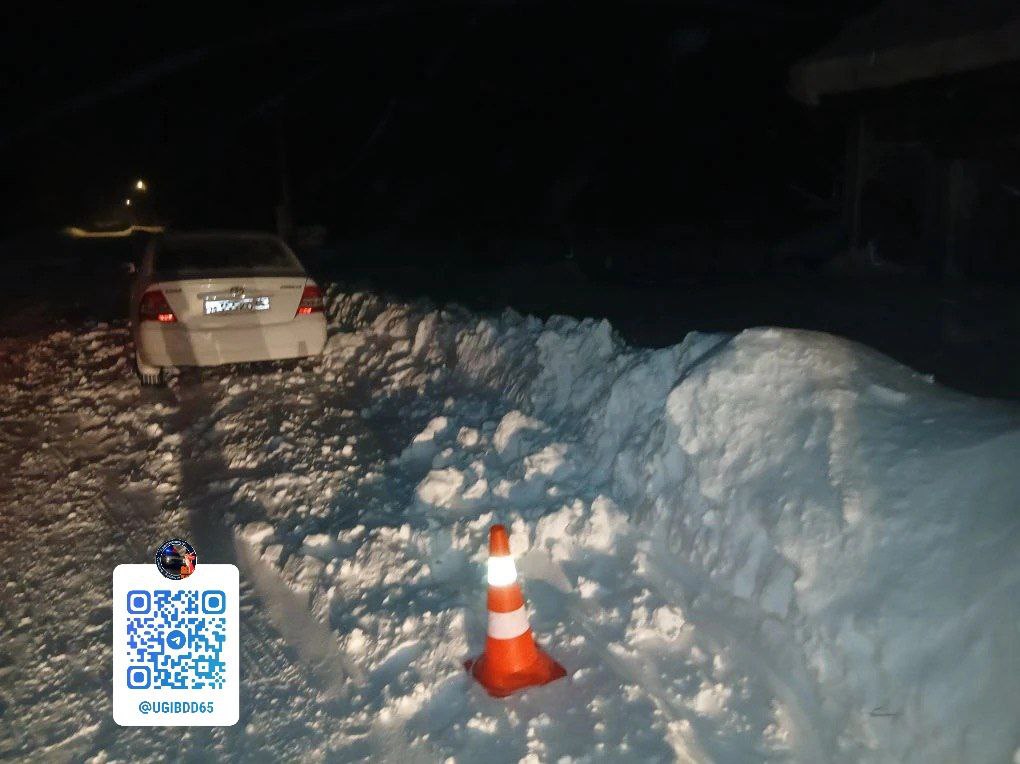 в Александровск-Сахалинском районе