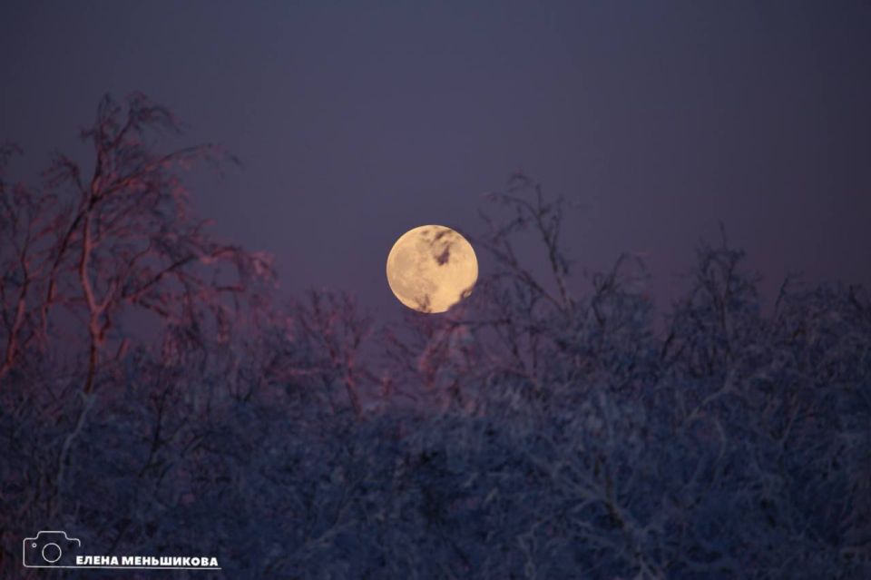 ������ ���� ������ ��� ���������