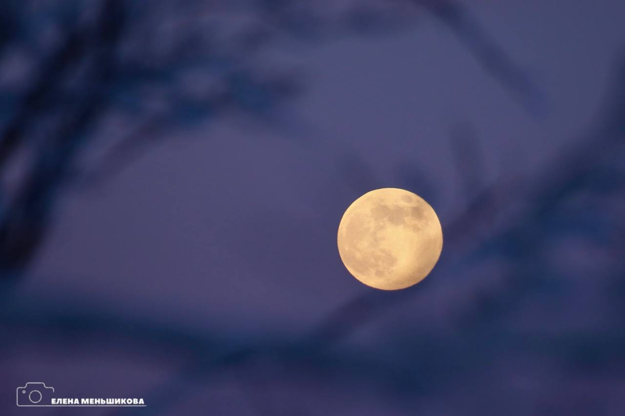 Волчья Луна взошла над Сахалином Волчья Луна взошла над Сахалином
