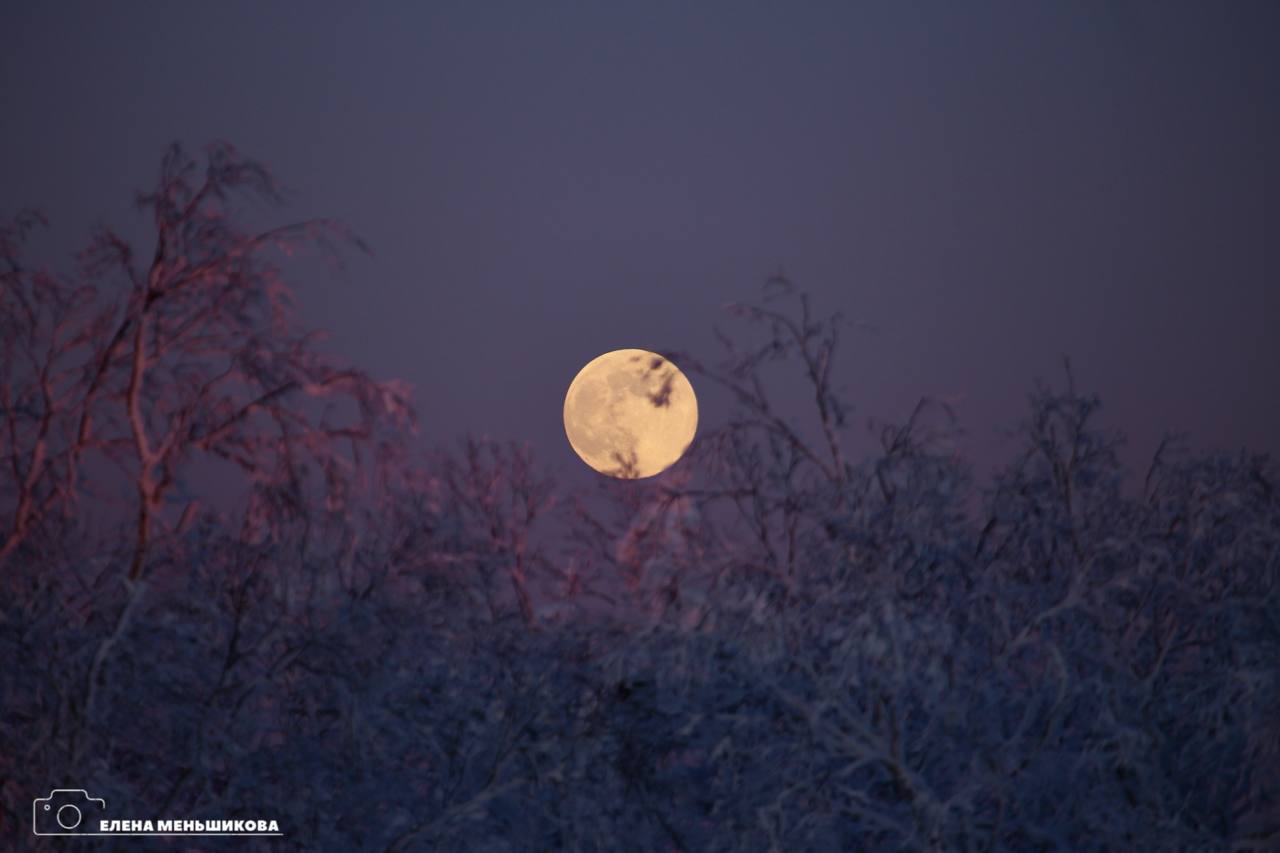 Волчья Луна взошла над Сахалином Волчья Луна взошла над Сахалином