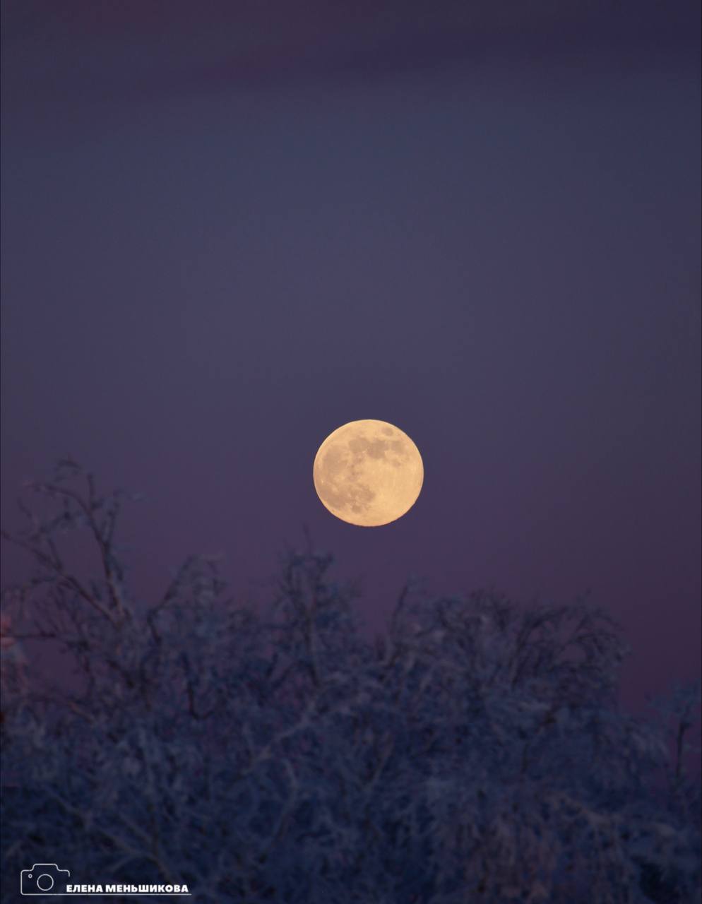 Волчья Луна взошла над Сахалином Волчья Луна взошла над Сахалином