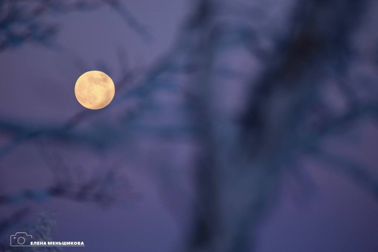 Волчья Луна взошла над Сахалином Волчья Луна взошла над Сахалином