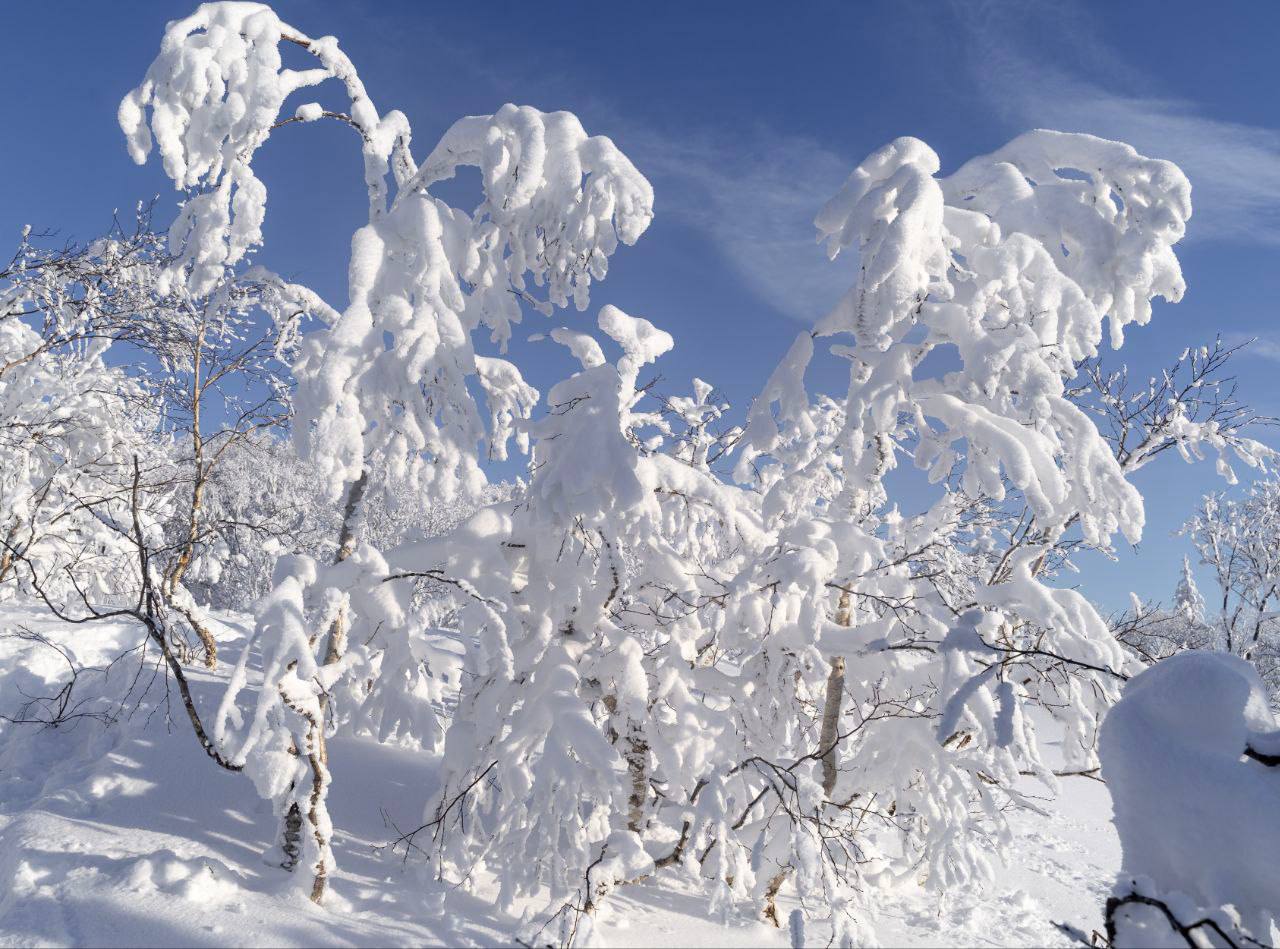 Сахалинская зимняя сказка на горе Тургенева Сахалинская зимняя сказка на горе Тургенева