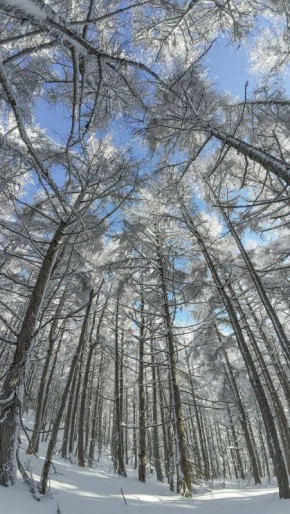 Сахалинская зимняя сказка на горе Тургенева