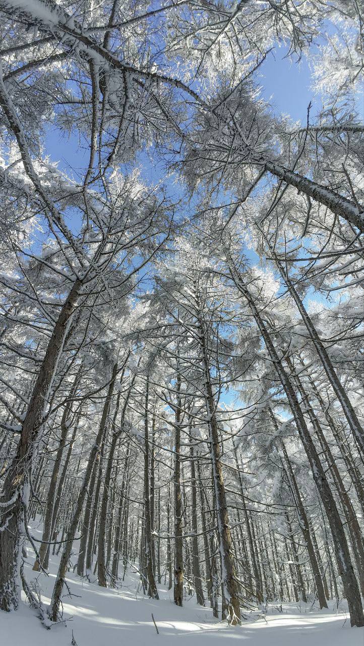 Сахалинская зимняя сказка на горе Тургенева