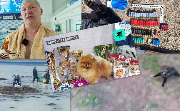 ������ ���������-������, "��������" ������� � ������ �����-����������� - ����� ��� ��� 2025 ���� �� ��������