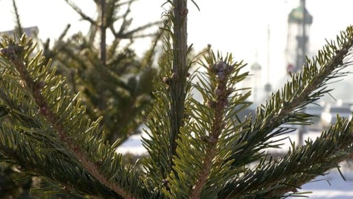 ����� ��� ������? ��������� ������������ ������ ���������!