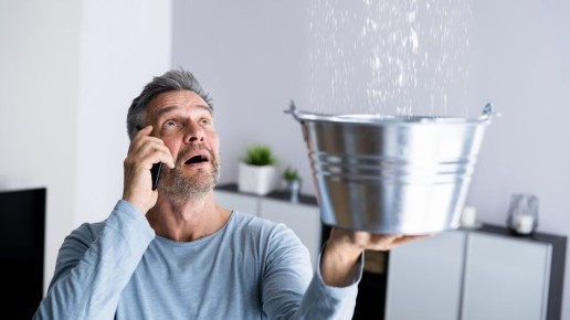 ��� ������, ���� ��� �������� � ���������� �������: ������ ��������