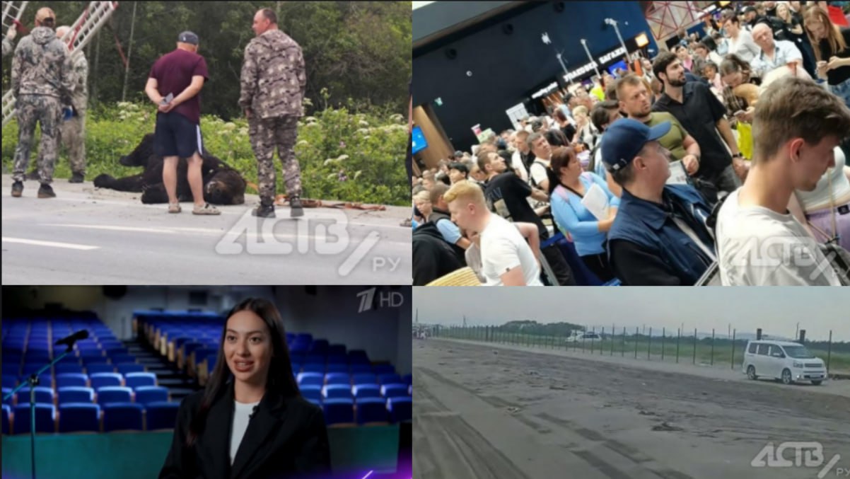 Безухий медведь-гигант, потрясающие подземные толчки и ярость Гузеевой: чем запомнился июль-2025 жителям Сахалинской области