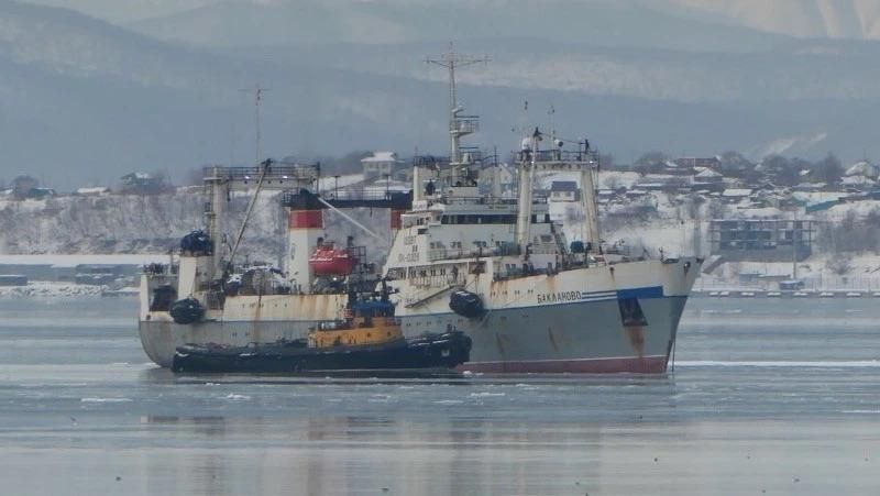 В Охотском море стартовал промысел минтая, сельди и трески