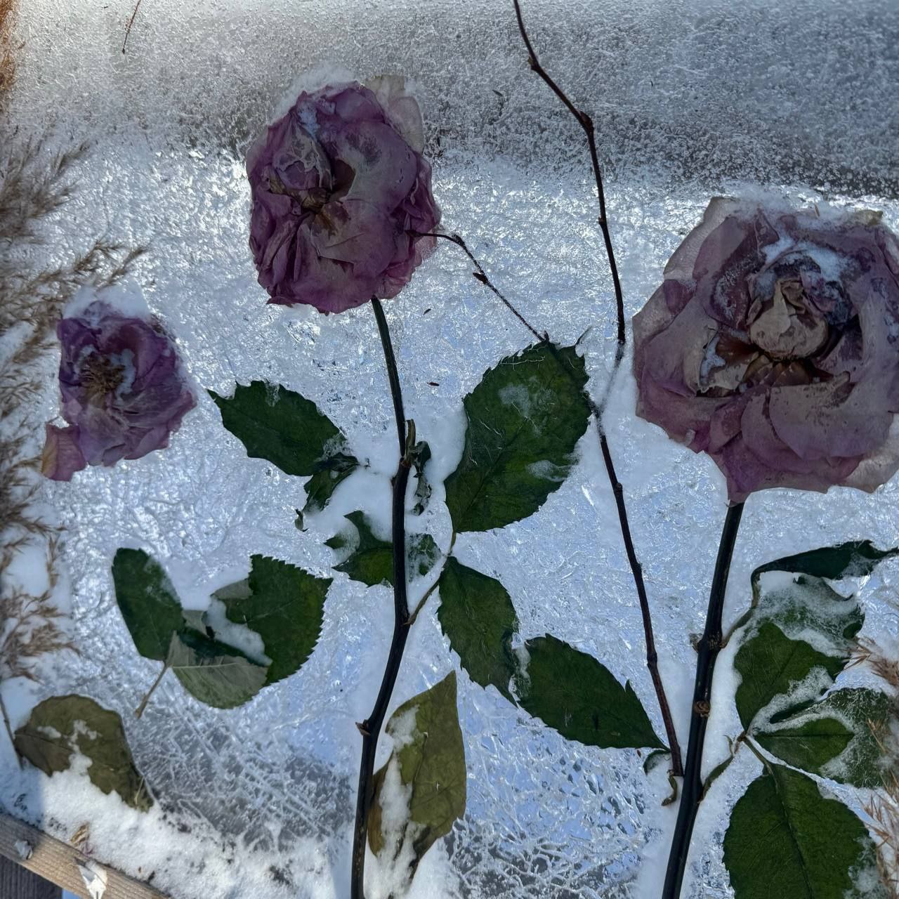 Каждая – со смыслом. Напоминаем, что в городском парке открыта выставка «Хрустальный вернисаж»