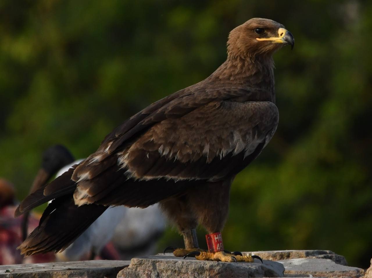 #* Подборка интересных новостей из регионов к этому часу #* Подборка интересных новостей из регионов к этому часу