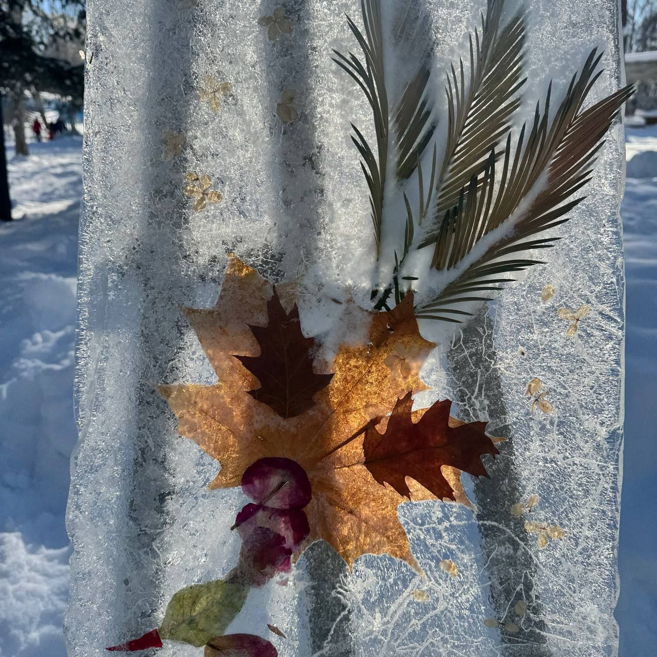 Южносахалинцев зовут на выставку ледяных картин «Хрустальный вернисаж» Южносахалинцев зовут на выставку ледяных картин «Хрустальный вернисаж»