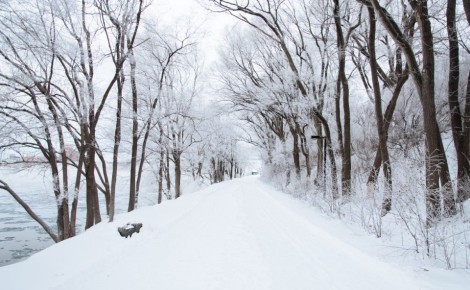 ������ �����������!. � 15:00 ����� ����� ����������� ��� �������� ������� �������������� �� ������� ����������� ������ ����-��������� - ��� � 13 �� 55 �� (����-������������� - ������������)