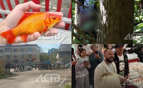 ������� ����� � �������, ������� �� ����� � ������� � ������: ��� ���������� ���������� ��������-2025