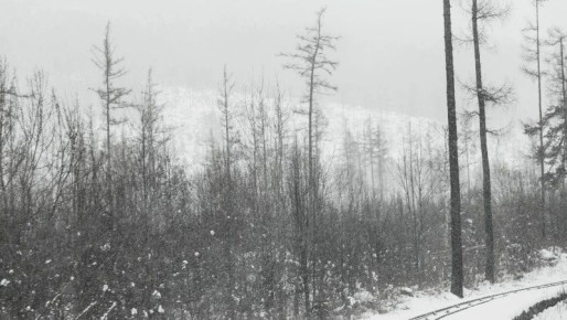 ��������� ����� � ������ ������� �������� ������ 10 ������