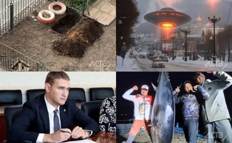 �����-�������, "���������" ��� ������� � ������������: ������� ������� �������-2025 �� ��������