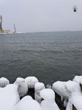 � ������� ���������� �������� �� ����� ����������� ���� �������