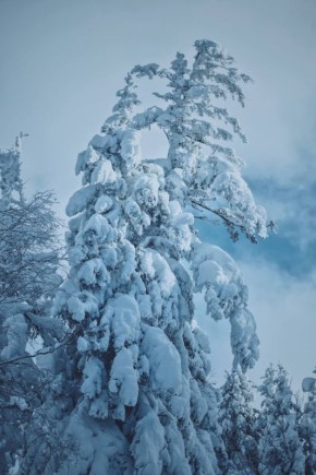 ������� �� ������� ������� ������������ ������� ������ ��������� �� ���� ������