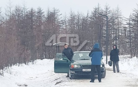 На Сахалине нашли автохама, который колесил по дорожкам памятника природы