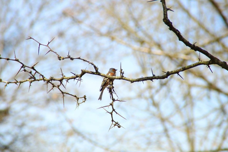 На Сахалине снег, а на Курилах – дождь: прогноз на 13 января