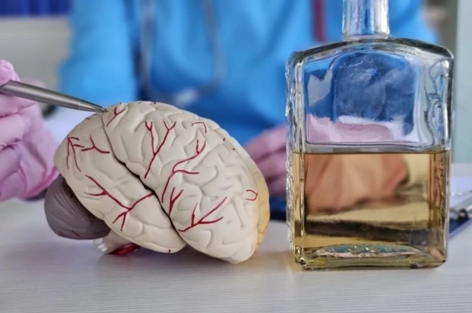 Сушит мозг. Нарколог Клименко поделилась страшными фактами об алкоголе