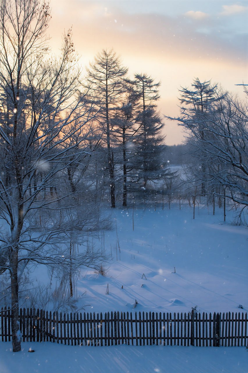 Атмосферные списки сахалинской зимы Атмосферные списки сахалинской зимы