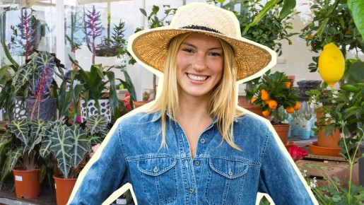 ������ ����� ������ ������: ��� ��������� ��������, ������� ���� �� �������