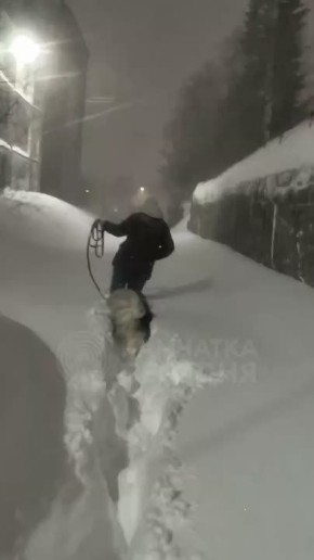 ��������� ������ ����������� ��������