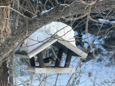 ��� ������� � ��������� �������� ������ ������� �������� ��� ���� - ������������ ���� ����������� �� ��������� � ������������ ���� ����-����������