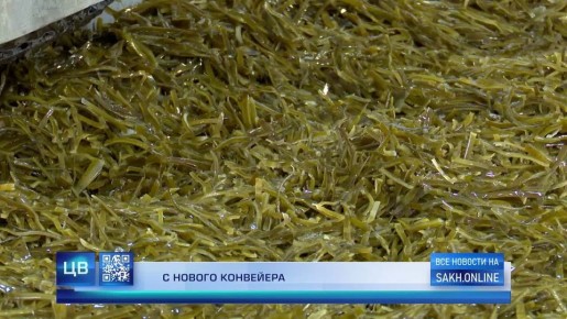 ������ ��� ����� ������ ����� � ����-���������� ���������� ������������ ��������� �� ������� �������