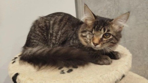 ������� � ����� ������ ���� ������� ����� �� ��������