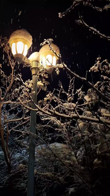 Доброе утро!. Сегодня Старый Новый год В этот день родились поэт Осип Мандельштам (1891— 1938), писатель Анатолий Рыбаков (1911 — 1998), хоккеист Валерий Харламов (1948 — 1981), актер и телеведущий Станислав Ярушин (1981)