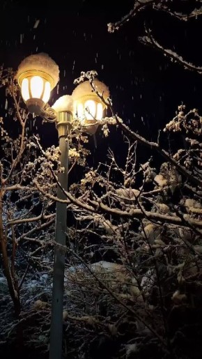 ������ ����!. ������� ������ ����� ��� � ���� ���� �������� ���� ���� ����������� (1891� 1938), �������� �������� ������� (1911 � 1998), �������� ������� �������� (1948 � 1981), ����� � ����������� ��������� ������ (1981)