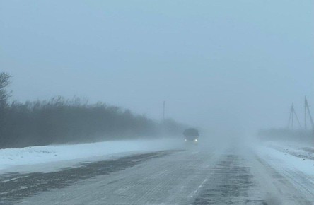 ������� ������ � ��� ������ �� 7�10 ����: ����������� ����� ���������� ������