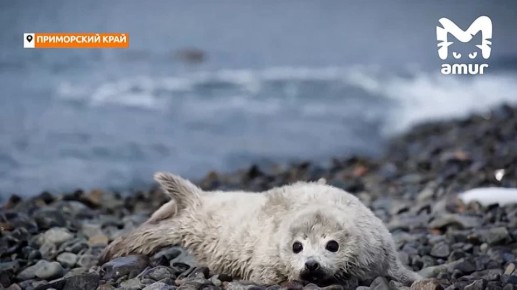 ������ � ���� ���� �������� ����� ��������� �� �������� � ��������