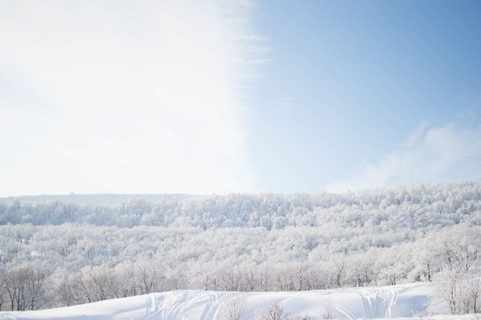 Снег и усиление ветра: прогноз для Сахалинской области на 16 января