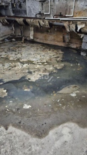 ������������� ��������, ��� ����� � ���� � "������" �� �������