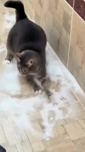 ������ ����. �������� 16 ������ ��������� ����� ������� ������, ����, ����� ��� ϸ��