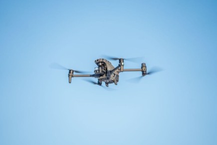 � ����-���������� ���� �������� �������� ������ �� ������ �����